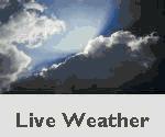 Live weather feed